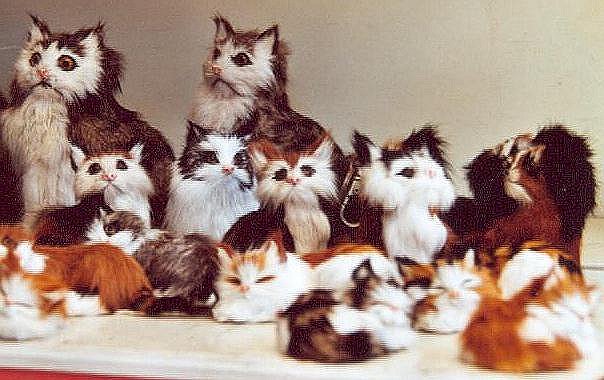 Fellk�tzchen aus dem Geschenkeladen