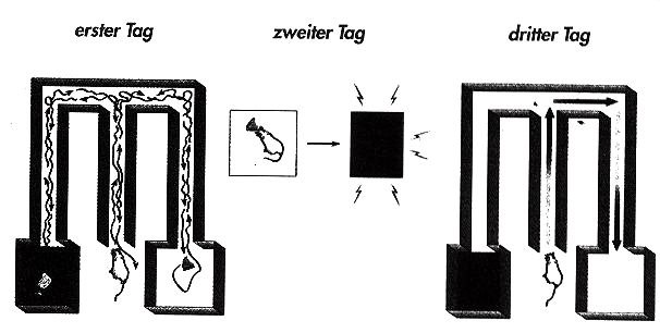 lerngrafik.jpg (47743 Byte)